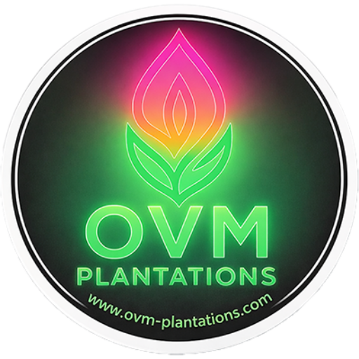 Cannabis Grow Club Cape Town | OVM Plantations