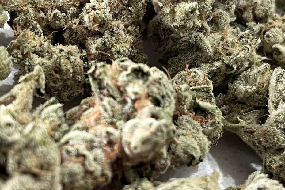 Cannabis Cape Town Sage N Sour cannabis buds