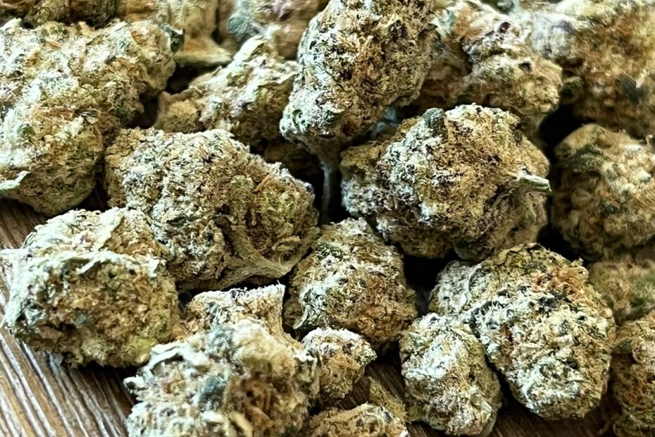 Cape Town cannabis industry, Cannabis Cultivation in Cape Town